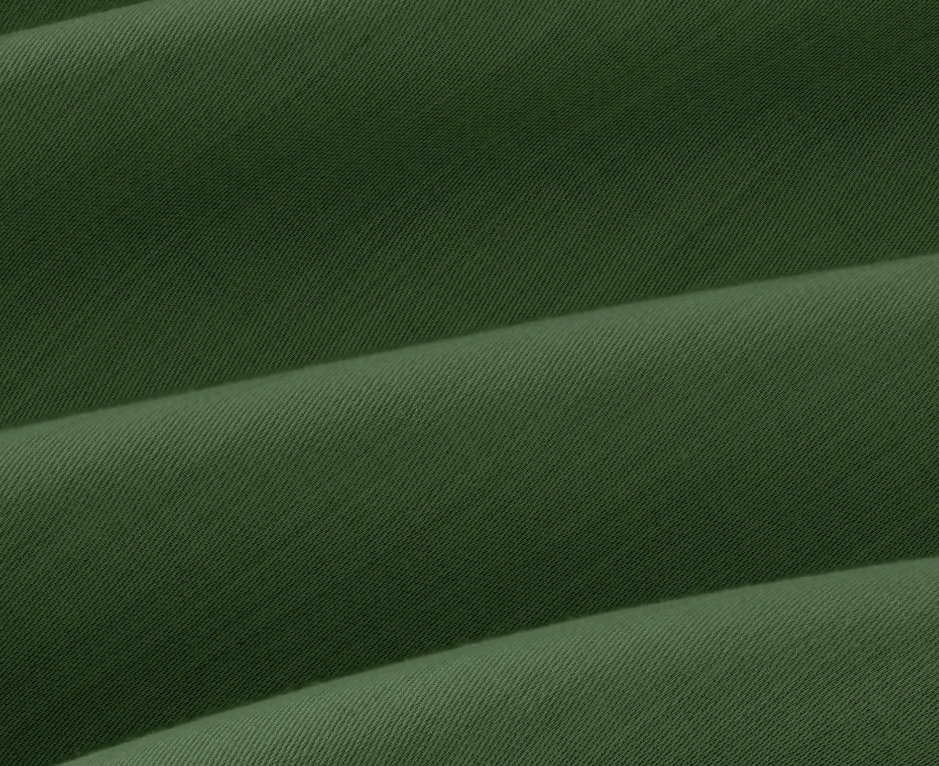 Monstera