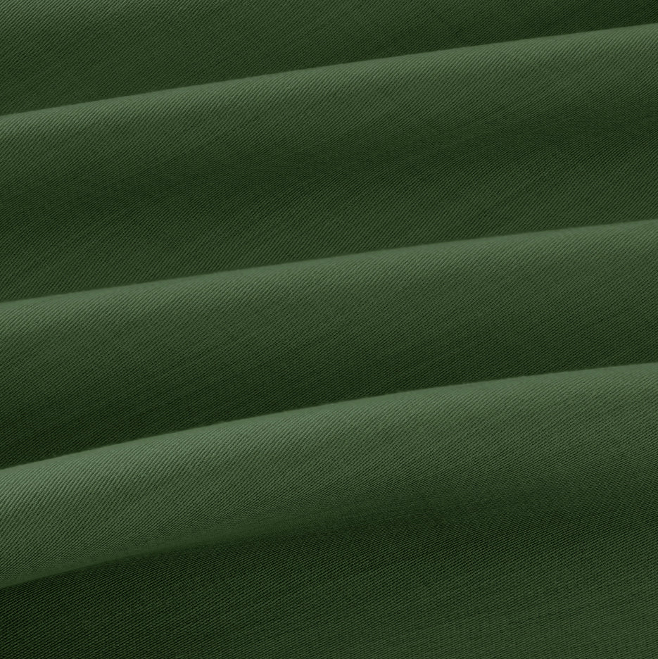 Monstera