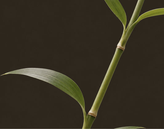 Are Bamboo Sheets Cooling Enough for Hot Sleepers?