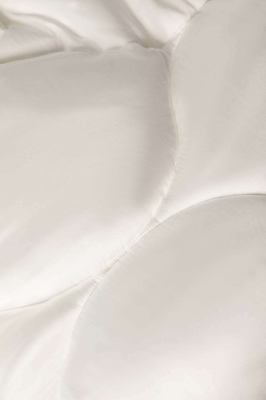 Bone