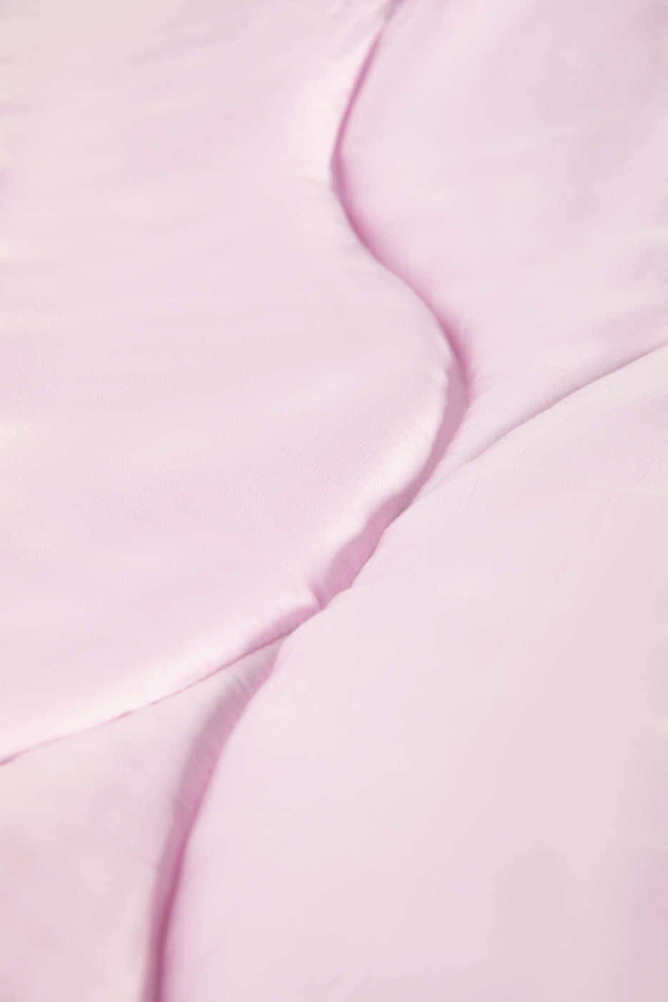 Cherry Petal