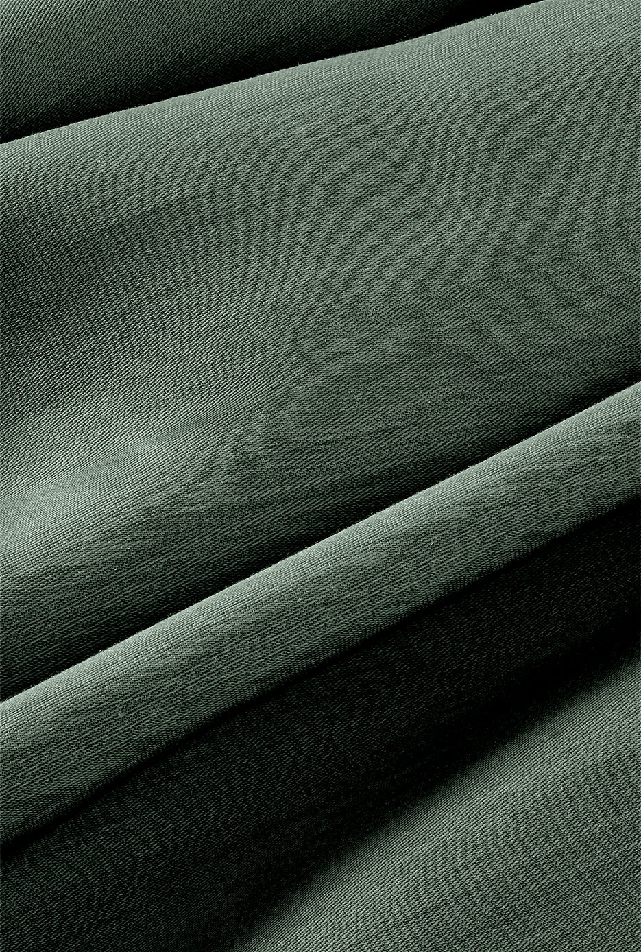 Monstera