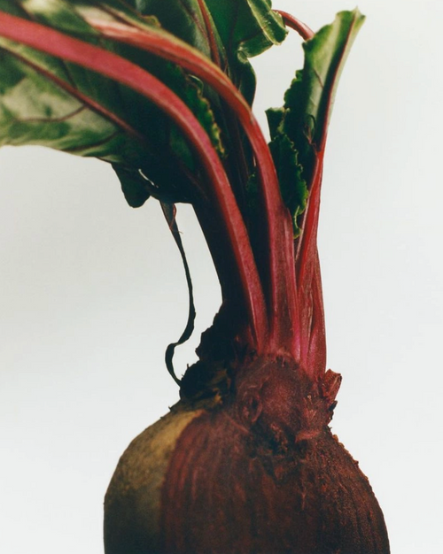 Beetroot