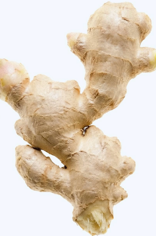 Ginger