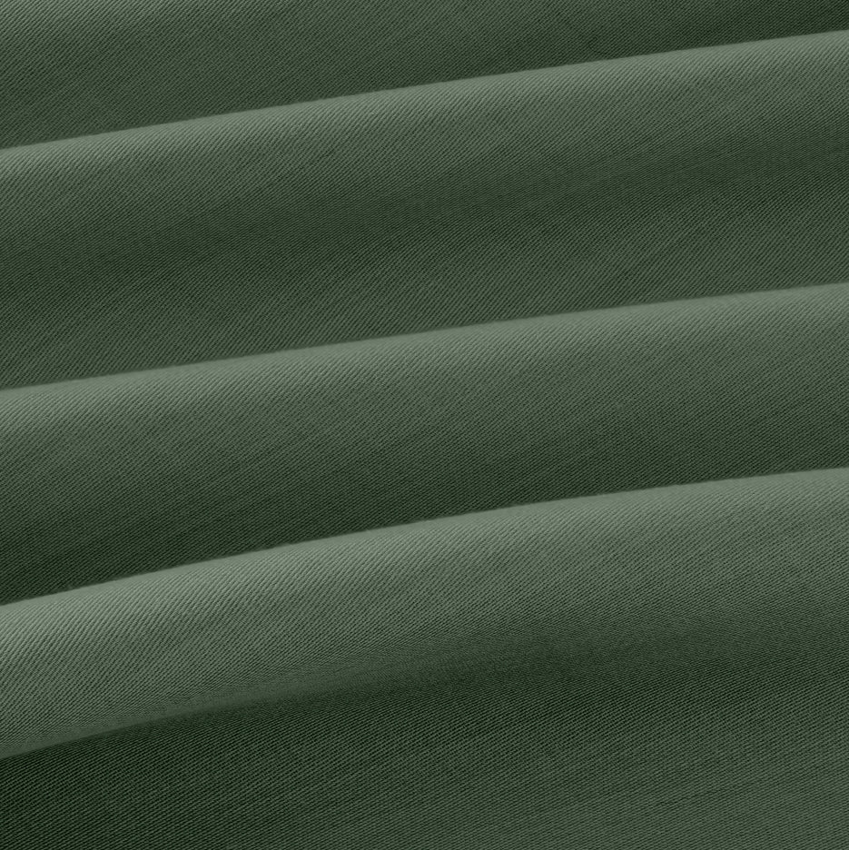 Monstera
