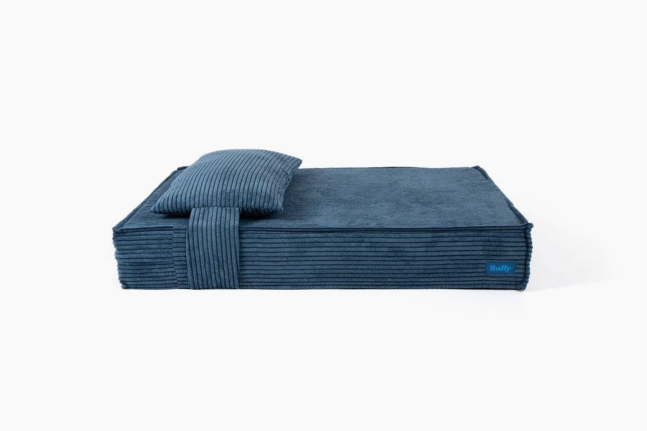 Cerulean Corduroy